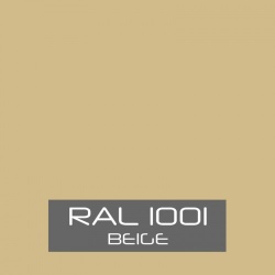 RAL 1001 Beige tinned Paint